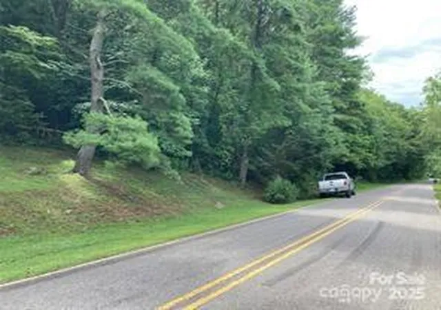 2nd image of 99999 Moffitt Branch Rd, Asheville, NC 28805 | MLS# 4239968