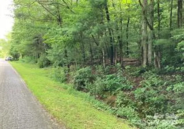 3rd image of 99999 Moffitt Branch Rd, Asheville, NC 28805 | MLS# 4239968