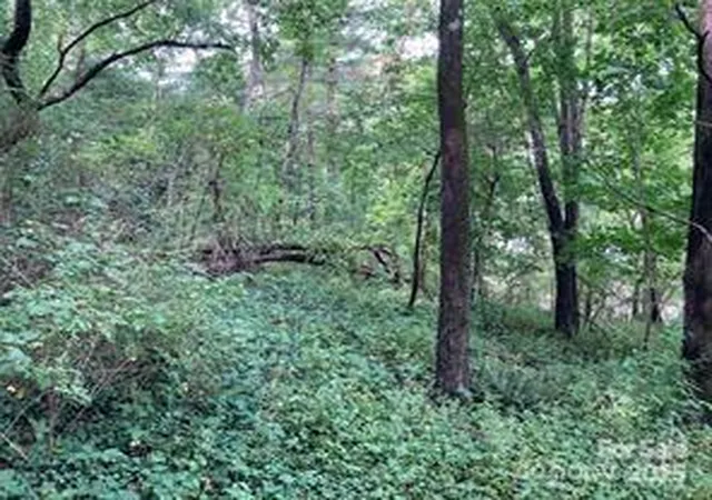 4th image of 99999 Moffitt Branch Rd, Asheville, NC 28805 | MLS# 4239968