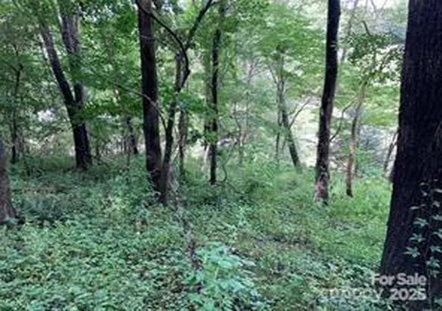 5th image of 99999 Moffitt Branch Rd, Asheville, NC 28805 | MLS# 4239968