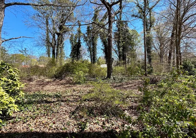 4th image of 0 Milling Rd, Mocksville, NC 27028 | MLS# 4240460