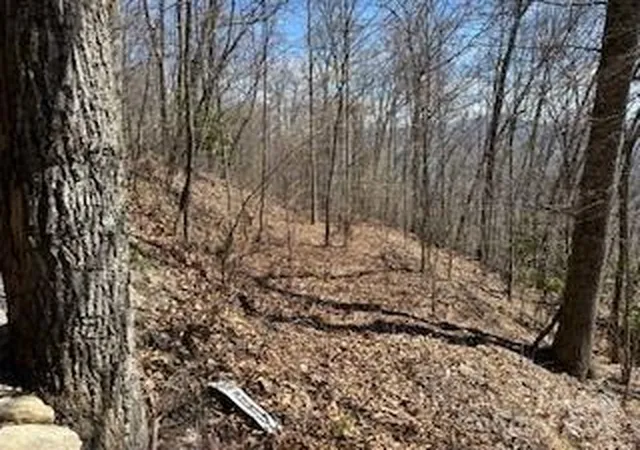 Photo 3 of Land for sale at 28 Angel Rd, Waynesville, NC 28785 | MLS# 4240685 | Listing updated on 2026-05-18