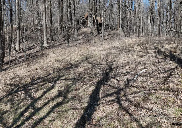 Photo 3 of Land for sale at 11 Acre Blockaders Den Rd, Columbus, NC 28722 | MLS# 4241421 | Listing updated on 2026-04-01