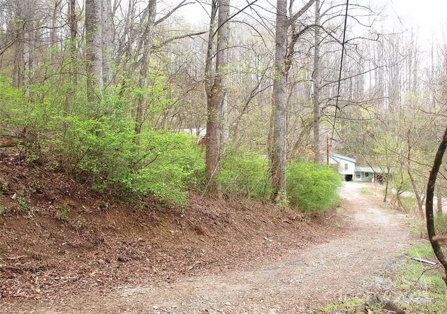 16th image of 00 Watts St, Canton, NC 28716 | MLS# 4241595