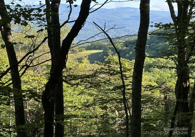 Photo 3 of Land for sale at 142 Old Growth Way #58, Sylva, NC 28779 | MLS# 4241808 | Listing updated on 2026-09-03