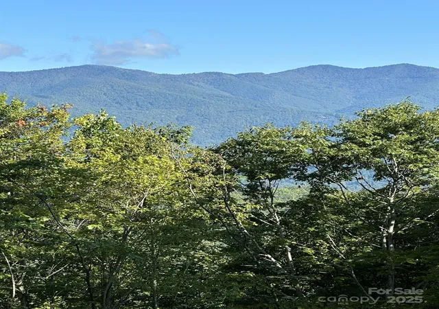 Photo 4 of Land for sale at 142 Old Growth Way #58, Sylva, NC 28779 | MLS# 4241808 | Listing updated on 2026-09-03