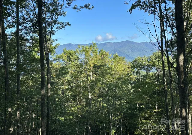 Photo 5 of Land for sale at 142 Old Growth Way #58, Sylva, NC 28779 | MLS# 4241808 | Listing updated on 2026-09-03