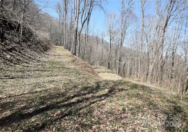 Homes for sale in Waynesville, NC | 000 Big Laurel Rd #A-16 & A-17, Waynesville, NC 28785 | MLS# 4243439