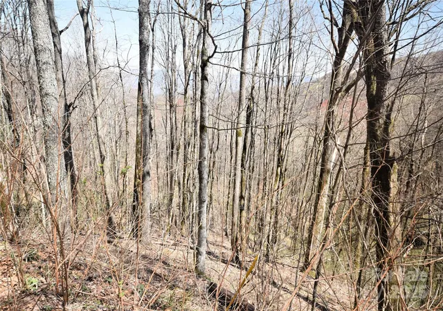 Homes for sale in Waynesville, NC | 000 Big Laurel Rd #A-16 & A-17, Waynesville, NC 28785 | MLS# 4243439