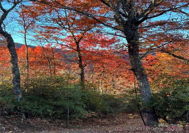 Photo 1 of Land for sale at 69 & 81 Winter Moon Ridge, Sylva, NC 28779 | MLS# 4243859 | Listing updated on 2026-09-20