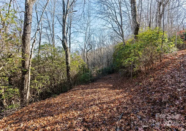 Photo 3 of Land for sale at 69 & 81 Winter Moon Ridge, Sylva, NC 28779 | MLS# 4243859 | Listing updated on 2026-09-20