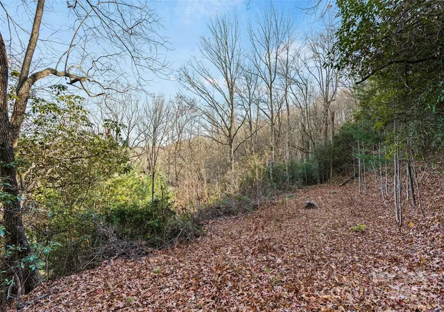 Photo 4 of Land for sale at 69 & 81 Winter Moon Ridge, Sylva, NC 28779 | MLS# 4243859 | Listing updated on 2026-09-20