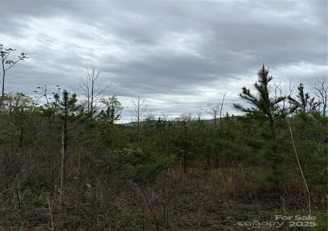 3rd image of 0 Rose Hollow Dr #Tract 1, Mill Spring, NC 28756 | MLS# 4244203