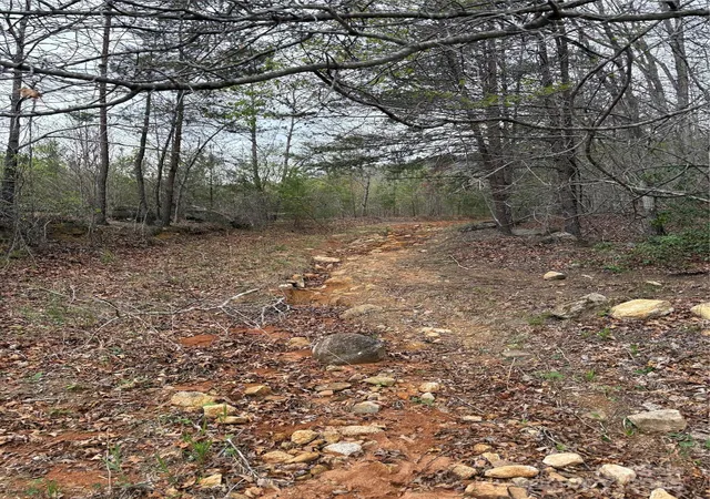 4th image of 0 Rose Hollow Dr #Tract 1, Mill Spring, NC 28756 | MLS# 4244203