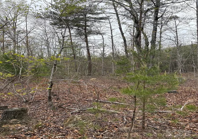 5th image of 0 Rose Hollow Dr #Tract 1, Mill Spring, NC 28756 | MLS# 4244203