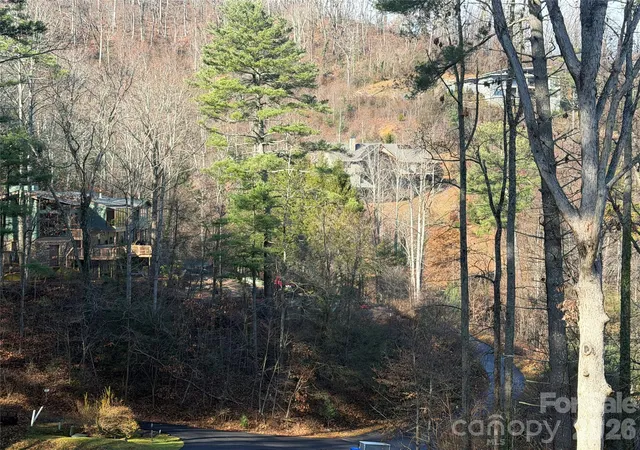 Photo 3 of Single family home for sale at 42 Spring Cvs Rd, Asheville, NC 28804 | MLS# 4246585 | Listing updated on 2026-09-22