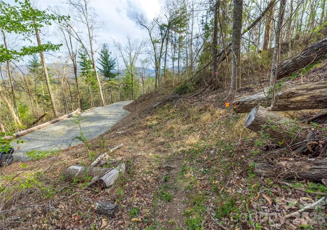 27th image of Lot 1 Wake Robin Way, Asheville, NC 28805 | MLS# 4246944