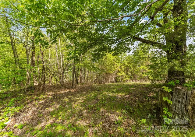 15th image of 0 Burkemont Rd, Morganton, NC 28655 | MLS# 4247417