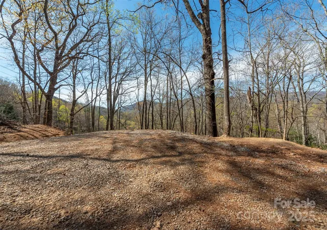 Homes for sale in Black Mountain, NC | 99999 Sunset Dr, Black Mountain, NC 28711 | MLS# 4247426