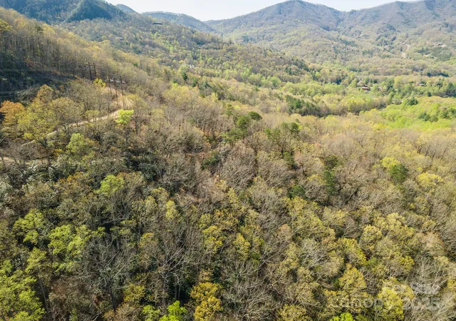 Homes for sale in Black Mountain, NC | 99999 Sunset Dr, Black Mountain, NC 28711 | MLS# 4247426
