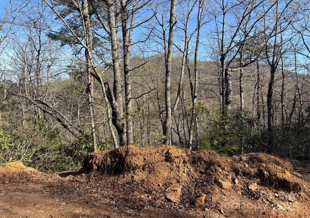 Homes for sale in Hendersonville, NC | 00 Kathy Lake Dr #24/25, Hendersonville, NC 28792 | MLS# 4247889