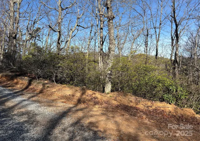 Homes for sale in Hendersonville, NC | 00 Kathy Lake Dr #24/25, Hendersonville, NC 28792 | MLS# 4247889