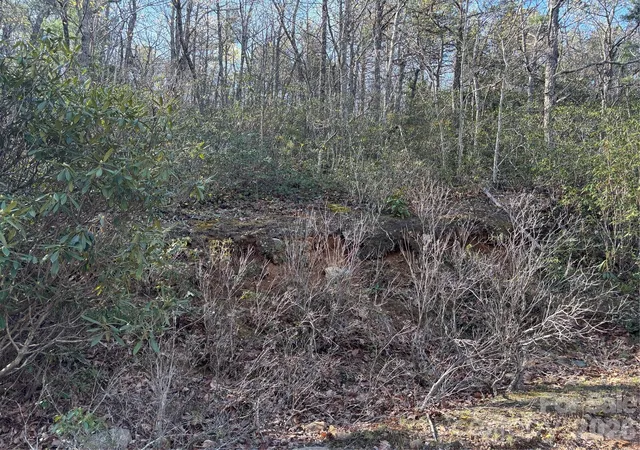 Photo 4 of Land for sale at 00 Kathy Lake Dr #24/25, Hendersonville, NC | MLS# 4247889 | Listing updated on 2026-08-10