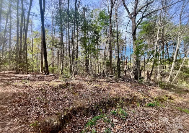 18th image of 99999 Lollis Rd, Candler, NC 28715 | MLS# 4247975