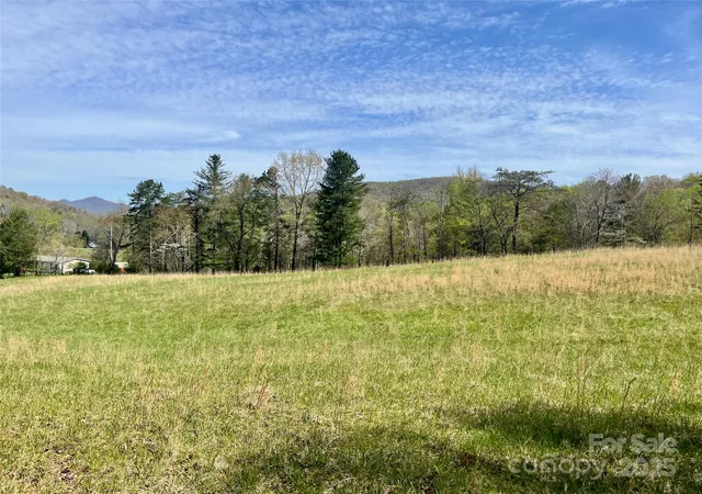 2nd image of 99999 Lollis Rd, Candler, NC 28715 | MLS# 4247975