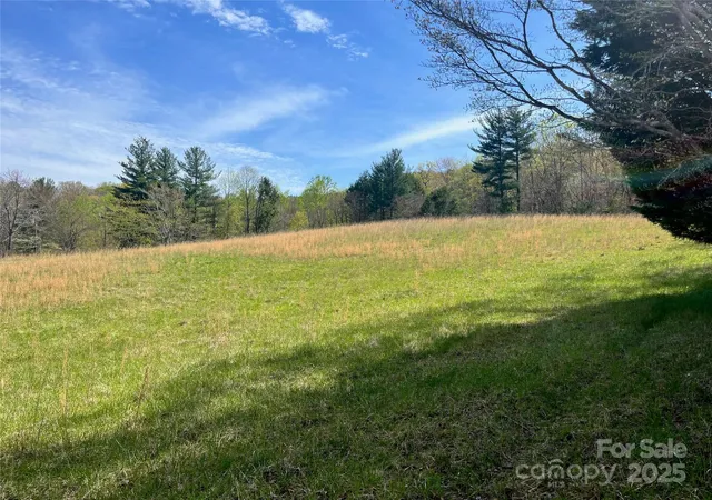 3rd image of 99999 Lollis Rd, Candler, NC 28715 | MLS# 4247975