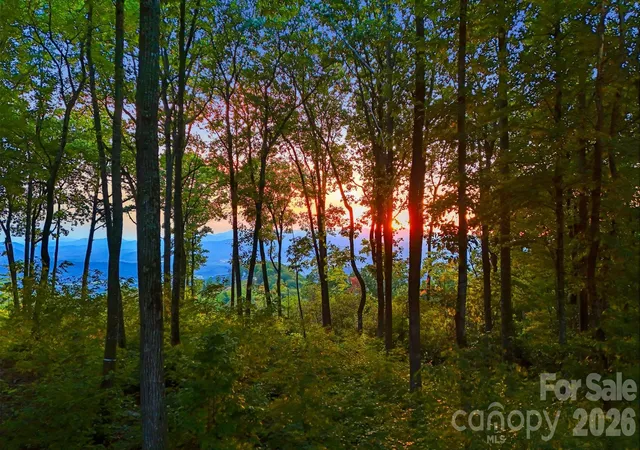 Photo 2 of Land for sale at 0 Mountain Grove Ln #Lot 68, Fletcher, NC 28732 | MLS# 4248239 | Listing updated on 2026-09-30