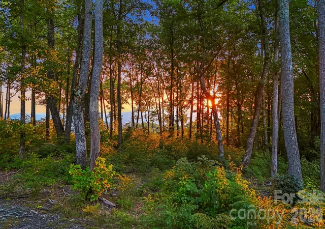 Photo 3 of Land for sale at 0 Mountain Grove Ln #Lot 68, Fletcher, NC 28732 | MLS# 4248239 | Listing updated on 2026-09-30