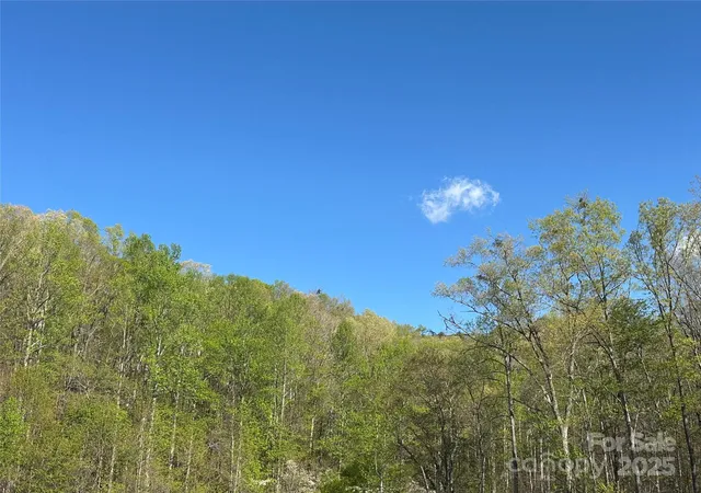 Photo 3 of Land for sale at V/l Country Acres Dr, Old Fort, NC 28762 | MLS# 4248355 | Listing updated on 2026-05-14