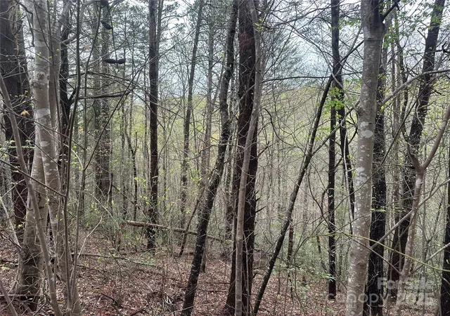 Photo 3 of Land for sale at V/l Country Acres Dr, Old Fort, NC 28762 | MLS# 4248355 | Listing updated on 2026-05-14