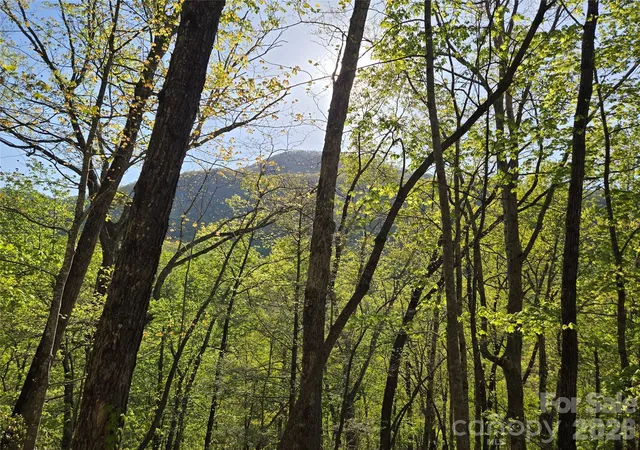 Photo 1 of Land for sale at Lot 164 Spanarkel Ln, Lake Lure, NC 28746 | MLS# 4249255 | Listing updated on 2026-09-22