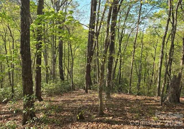 Photo 2 of Land for sale at Lot 164 Spanarkel Ln, Lake Lure, NC 28746 | MLS# 4249255 | Listing updated on 2026-09-22