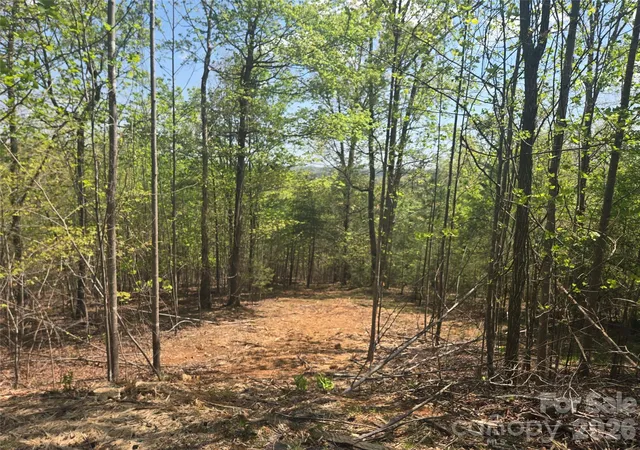 Photo 1 of Land for sale at Lot 13 Back Holw Dr, Mill Spring, NC | MLS# 4249462 | Listing updated on 2026-09-24