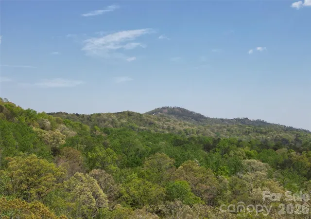 Photo 3 of Land for sale at Lot 13 Back Holw Dr, Mill Spring, NC | MLS# 4249462 | Listing updated on 2026-09-24