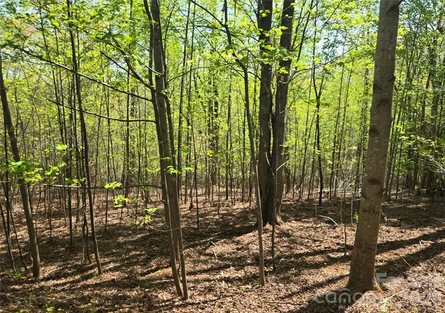 Photo 1 of Land for sale at Lot 14 Back Holw Dr, Lake Lure, NC 28746 | MLS# 4249498 | Listing updated on 2026-09-24