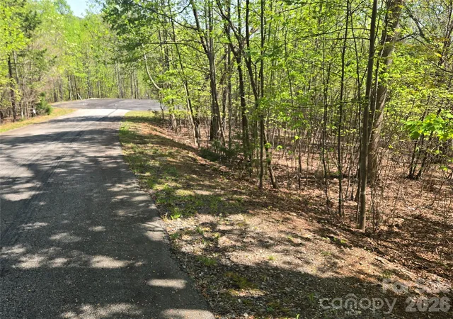 Photo 3 of Land for sale at Lot 14 Back Holw Dr, Lake Lure, NC 28746 | MLS# 4249498 | Listing updated on 2026-09-24