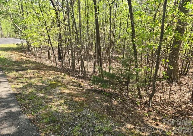 Photo 3 of Land for sale at Lot 14 Back Holw Dr, Lake Lure, NC 28746 | MLS# 4249498 | Listing updated on 2026-09-24