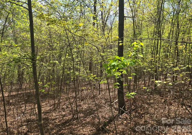 Photo 4 of Land for sale at Lot 14 Back Holw Dr, Lake Lure, NC 28746 | MLS# 4249498 | Listing updated on 2026-09-24