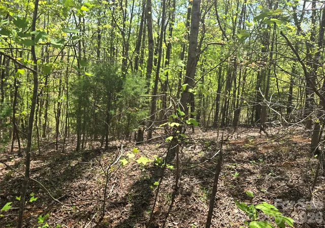Photo 3 of Land for sale at Lot 15 Touch Me Not Trl, Lake Lure, NC 28746 | MLS# 4249564 | Listing updated on 2026-09-24
