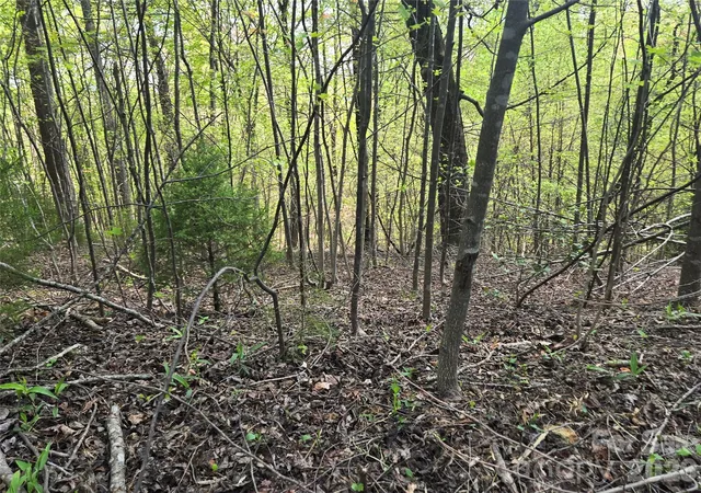 Photo 4 of Land for sale at Lot 15 Touch Me Not Trl, Lake Lure, NC 28746 | MLS# 4249564 | Listing updated on 2026-09-24