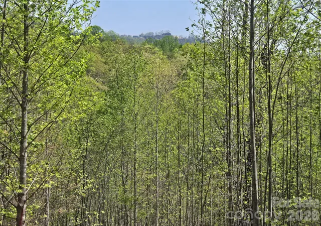 Photo 1 of Land for sale at Lot 17 Touch Me Not Trl, Lake Lure, NC 28746 | MLS# 4250025 | Listing updated on 2026-09-24