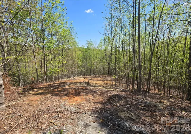 Photo 2 of Land for sale at Lot 17 Touch Me Not Trl, Lake Lure, NC 28746 | MLS# 4250025 | Listing updated on 2026-09-24