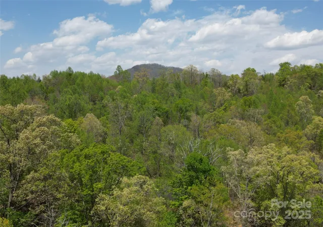 3rd image of Lot 17 Touch Me Not Trl, Lake Lure, NC 28746 | MLS# 4250025