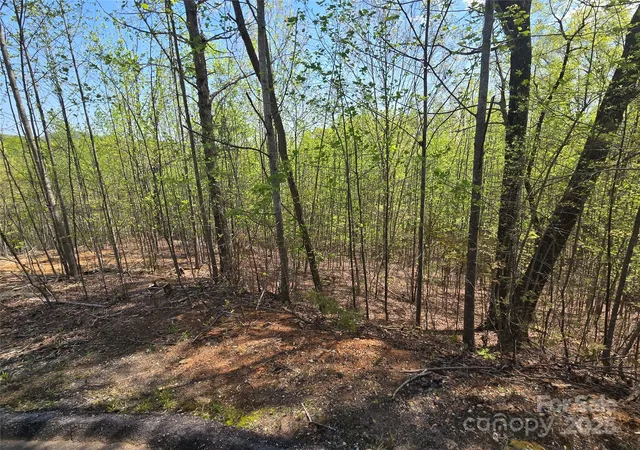 4th image of Lot 17 Touch Me Not Trl, Lake Lure, NC 28746 | MLS# 4250025