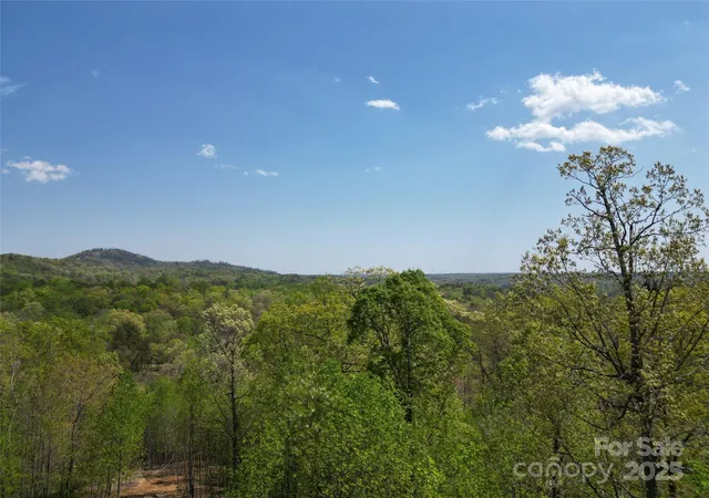 5th image of Lot 17 Touch Me Not Trl, Lake Lure, NC 28746 | MLS# 4250025