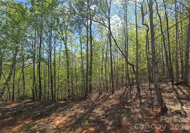 Photo 1 of Land for sale at Lot 20 Touch Me Not Trl, Lake Lure, NC 28746 | MLS# 4250037 | Listing updated on 2026-09-24